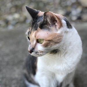 Meet your Posher, Scott